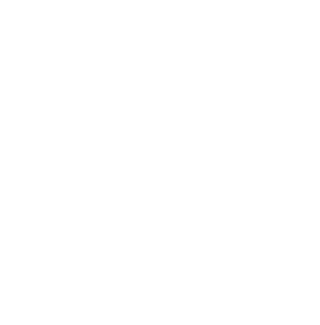 South Wellness Massage